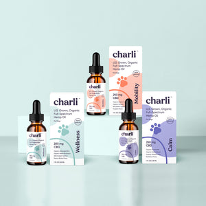 Pet CBD for Arthritis and Joint health