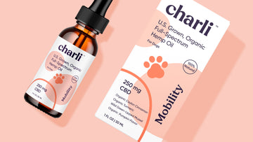 Charli pets CBD Mobility