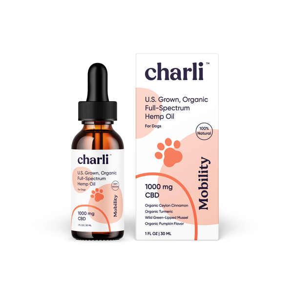 CBD Oil for Dogs - Mobility