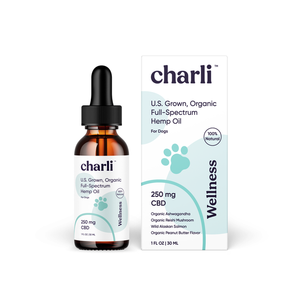 CBD Oil for Dogs - Wellness